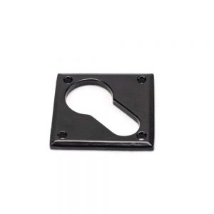 From the Anvil Black Diamond Euro Escutcheon - 33236