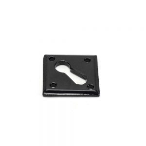 From the Anvil Black Diamond Escutcheon - 33965