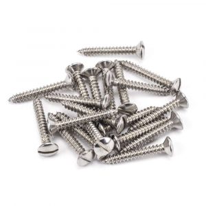 From the Anvil Stainless Steel 6x1" Countersunk Raised Head Screws (25) - 92311