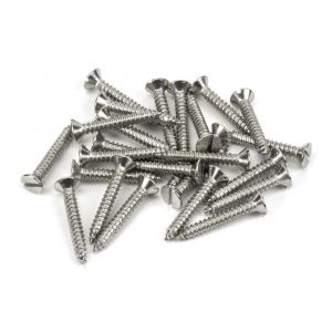 From the Anvil Stainless Steel 10x1?" Countersunk Screws (25) - 92905